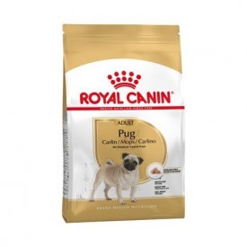 Royal Canin Adulto Carlino - 1
