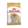 Royal Canin Bichón Maltés Adulto - 1