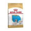 Royal Canin Puppy Bulldog Francés - 1