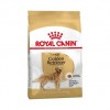 Royal Canin Adulto Golden Retriever - 1