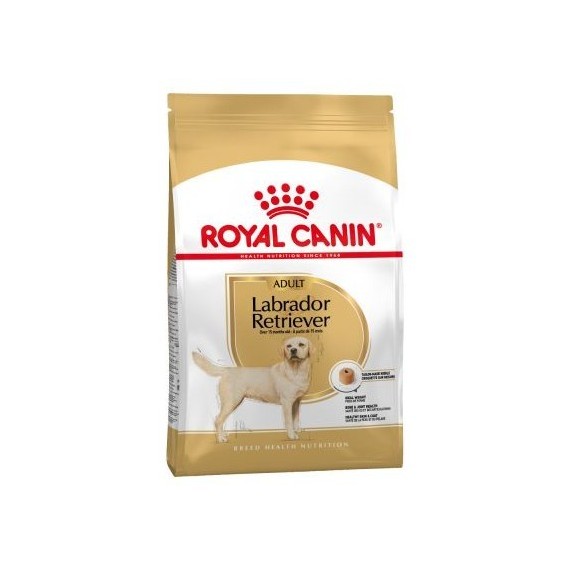 Royal Canin Adulto Labrador Retriever - 1