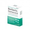 Berberis-Homaccord