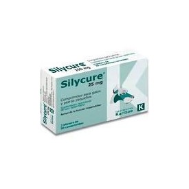 Silycure - 1