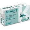 Silycure - 1