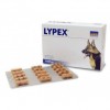 Lypex Blister 60 Cápsulas - 1