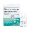 Nux-Vomica-Homaccord
