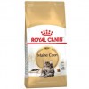 Royal Canin Gato Maine Coon - 1