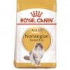 Royal Canin Gato Norwegian Forest - 1