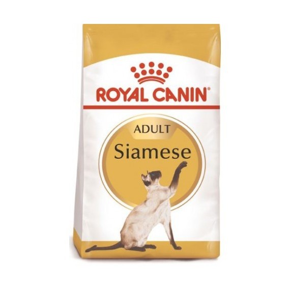 Royal Canin Gato Siamese Adult - 1