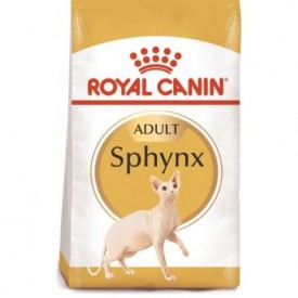Royal Canin Gato Sphynx Adult - 1