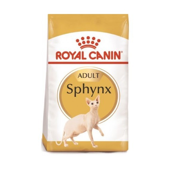 Royal Canin Gato Sphynx Adult - 1