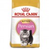 Royal Canin Gato Kitten Persian - 1