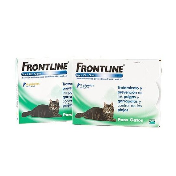 Frontline-Gatos
