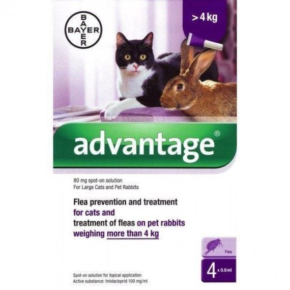 Advantage-Gatos-(+-4-kg)