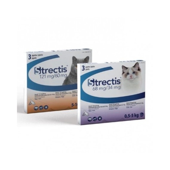 Strectis-Gatos-3-Pipetas
