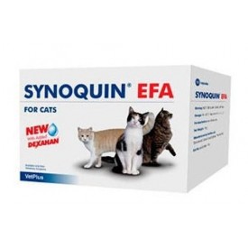 Synoquin-EFA-Gatos