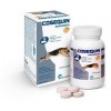 Condroprotector Cosequin Advanced Perros 40 120 250 comprimidos - 1