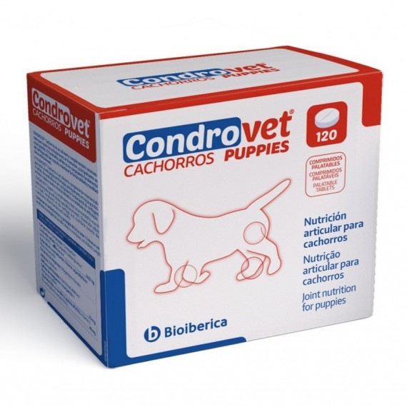 Condrovet Cachorros - 1 Condrovet Cachorros - 1