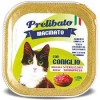 Prelibato Gato Conejo Tarrina - 1