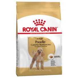 Royal Canin Adult Caniche - 1