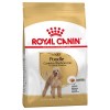 Royal Canin Adult Caniche - 1