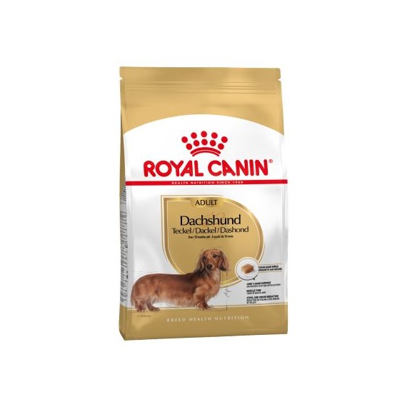 Royal Canin Adulto Dachshund - 1