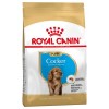 Royal Canin Cocker Puppy - 1