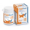 Prolivet 30 comprimidos - 1