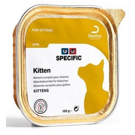 Specific Kitten FPW - 1